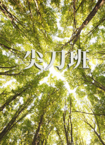 91精品一区二区